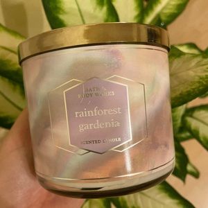 Rainforest Gardenia Bath & Body Works Candle
